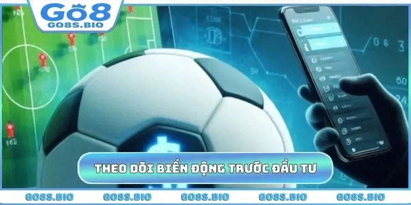 Theo dõi sự biến động trước khi đầu tư